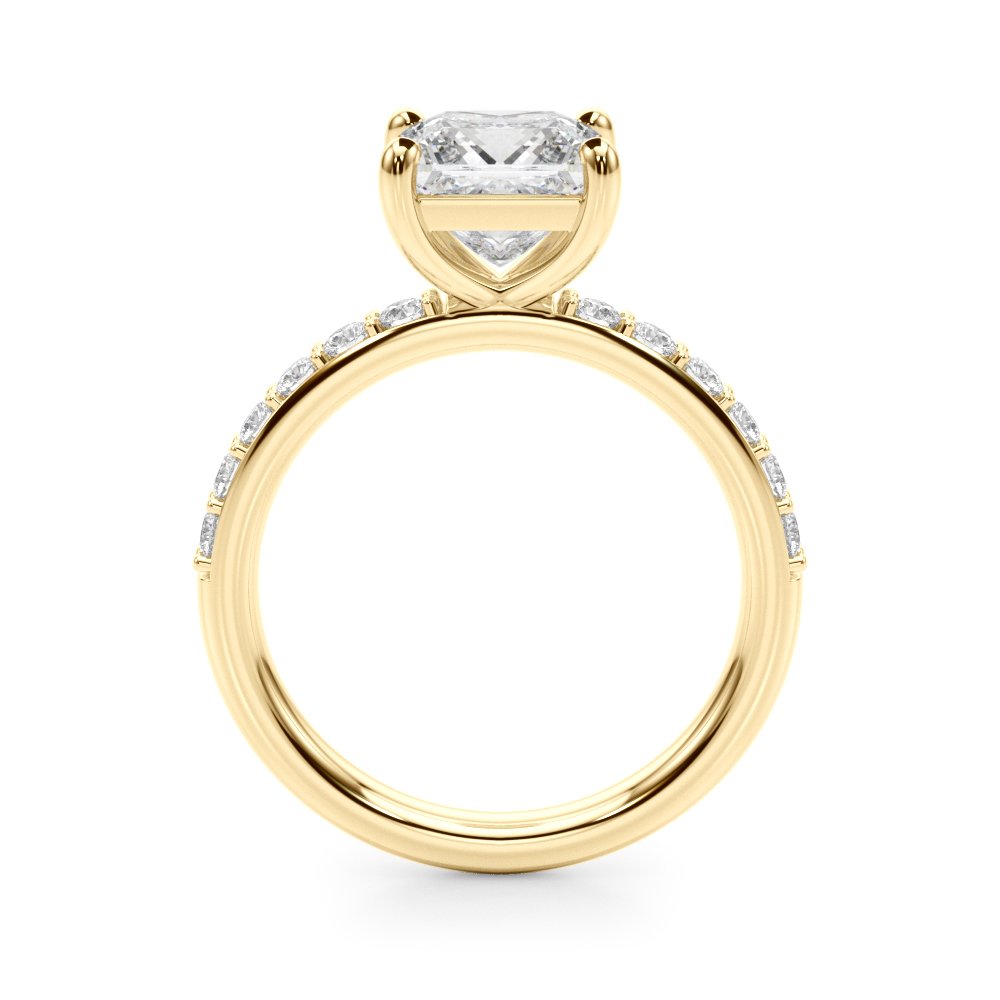 Bianca Princess-cut Single Row Engagement Ring In 14k White Gold