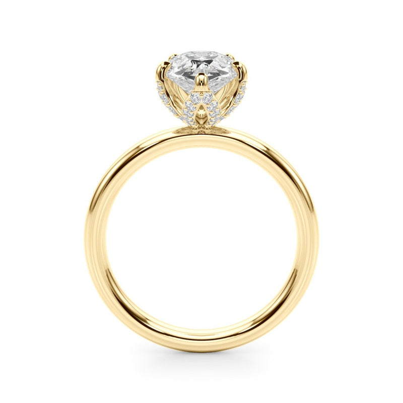 Paula Pear Hidden Halo Engagement Ring
