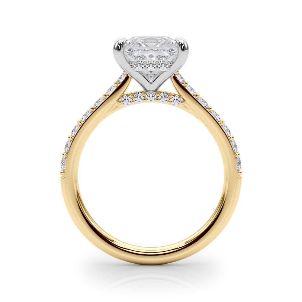 Emma Princess Hidden Halo Engagement Ring