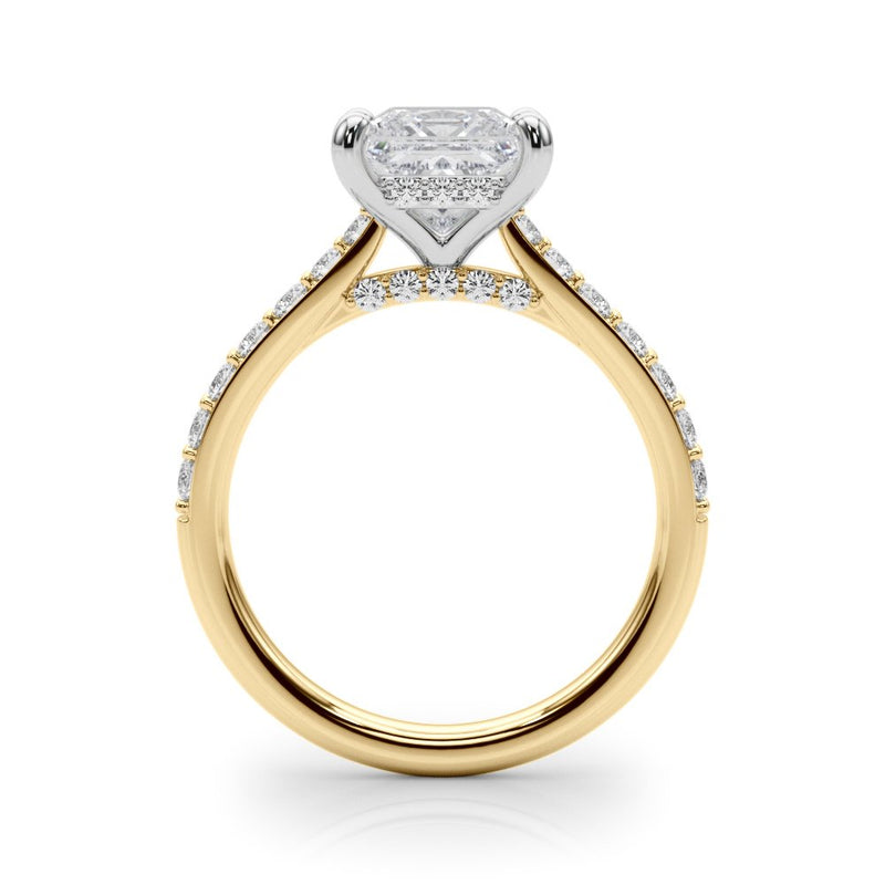 Emma Princess Hidden Halo Engagement Ring